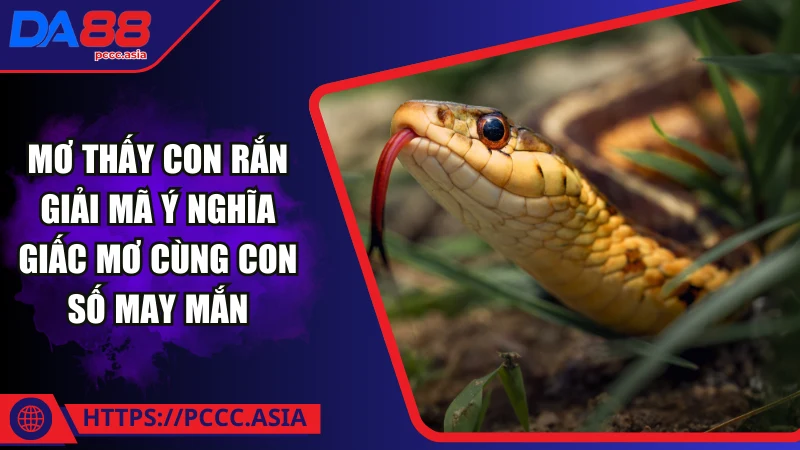 Giải mã ý nghĩa mơ thấy con rắn cùng chuyên gia soi cầu DA88 Giải mã ý nghĩa mơ thấy con rắn cùng chuyên gia soi cầu DA88