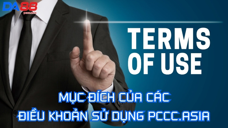 Mục đích của các điều khoản sử dụng tại PCCC.asia Mục đích của các điều khoản sử dụng tại PCCC.asia