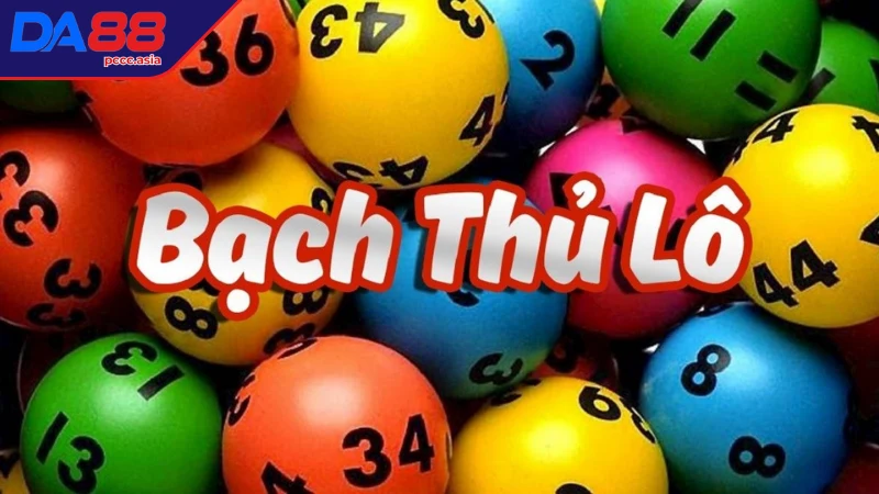 Ưu điểm và nhược điểm của bạch thủ lô là gì? Ưu điểm và nhược điểm của bạch thủ lô là gì?